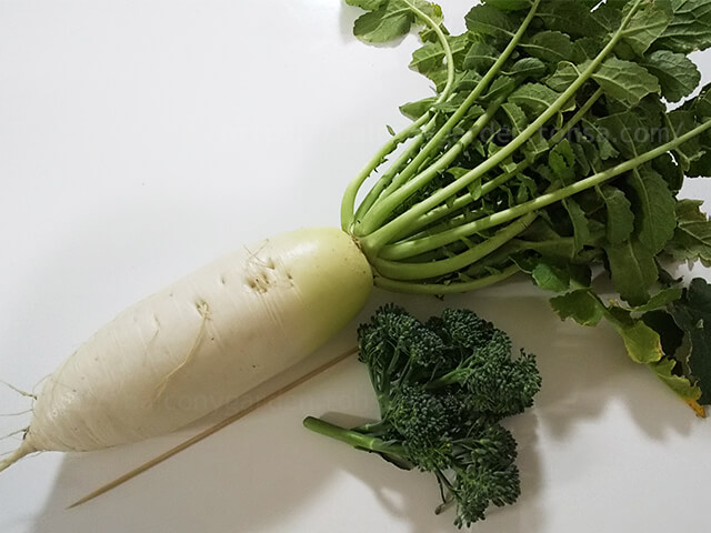 大根 ダイコン 家庭菜園 プランター ベランダ菜園