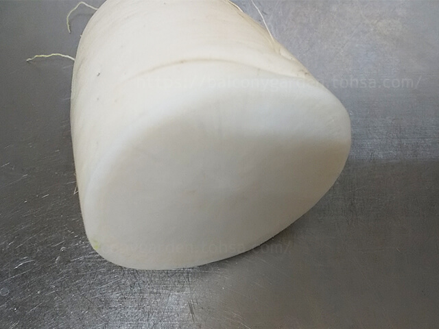 大根 ダイコン 家庭菜園 プランター ベランダ菜園