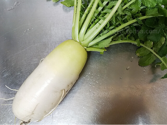 大根 ダイコン 家庭菜園 プランター ベランダ菜園